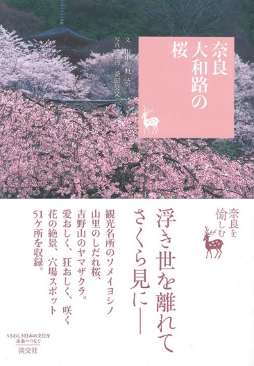 奈良大和路の桜