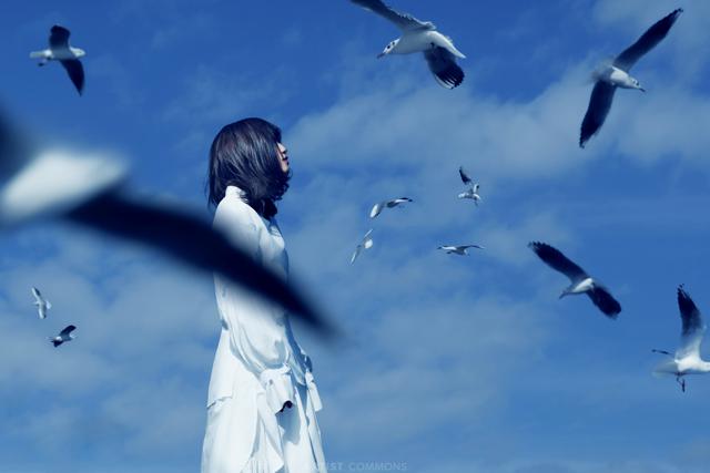 Laura day romance