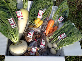 本日のメニュー！