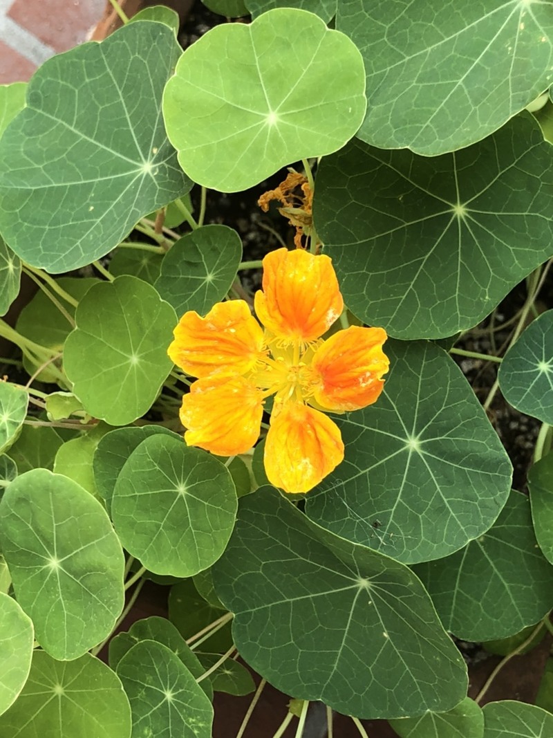 日差しが眩しい木曜日  #WonderG765 #NAMI765