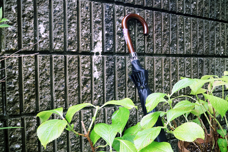 門上西林 物見遊山 【#249／2021.7.10】