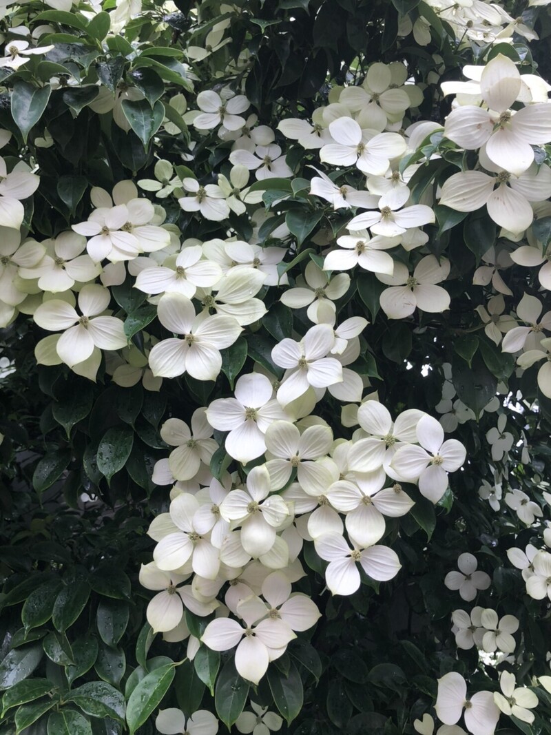 夏至の月曜日！ #WonderG765 #NAMI765