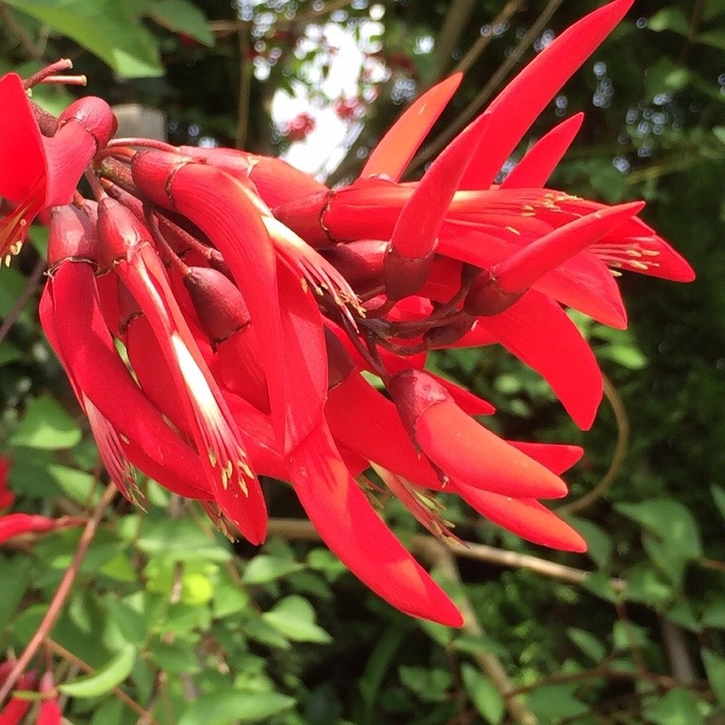 青空広がる水曜日 #WonderG765 #NAMI765