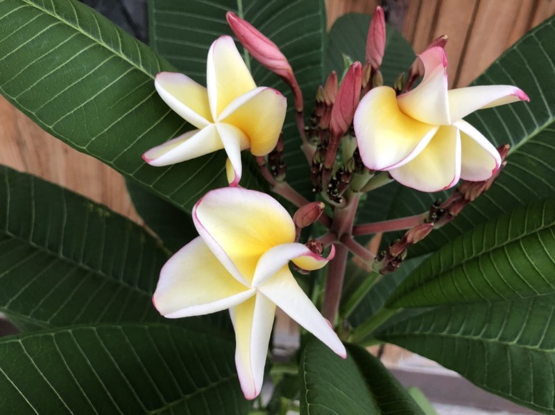 よし来たっ木曜日♪ #WonderG765 #NAMI765