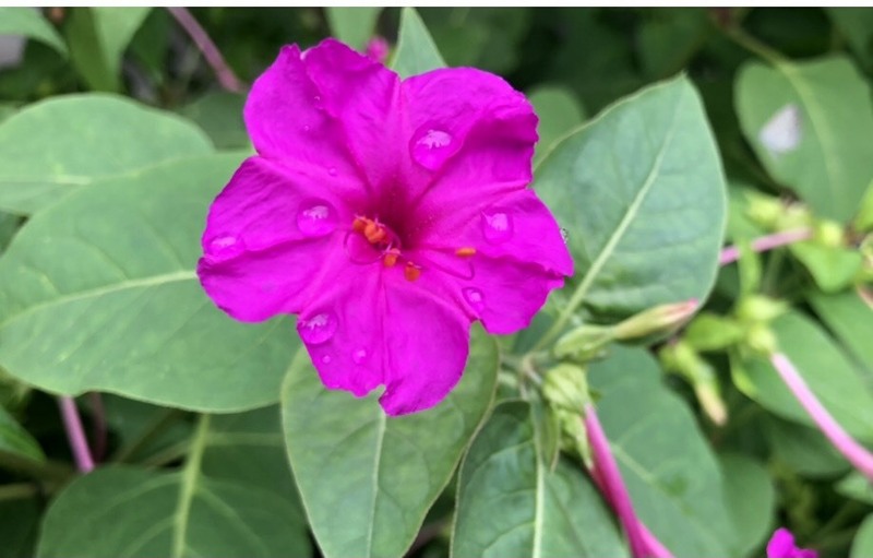 スイスイ乗り切ろう水曜日！！ #WonderG765 #NAMI765