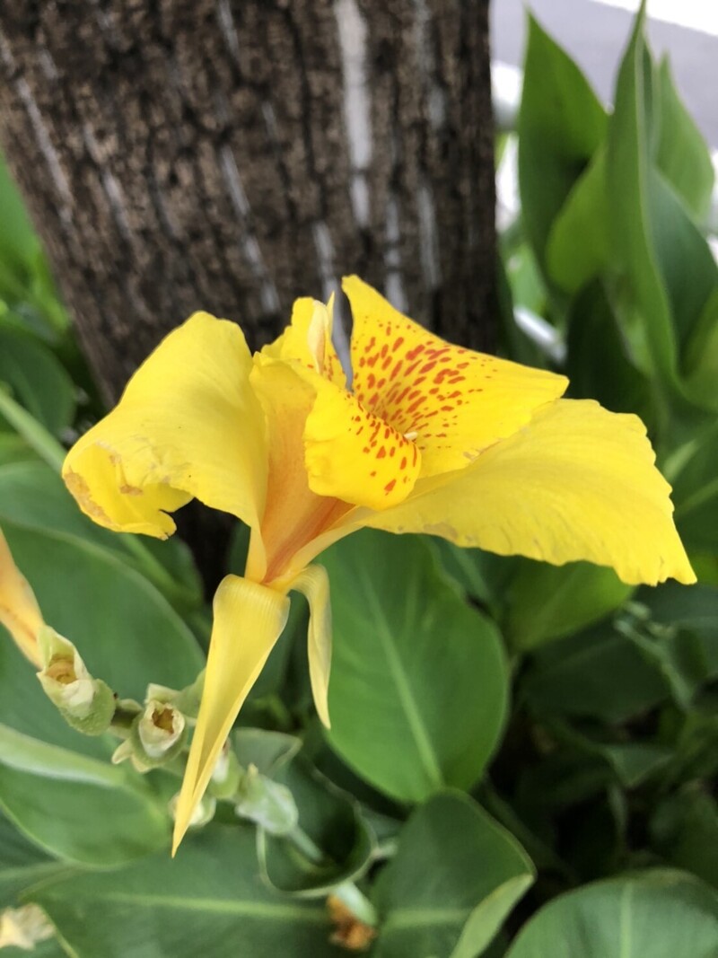 新しい月、新しい週、月曜日です♪ #ワンダー765 #NAMI765