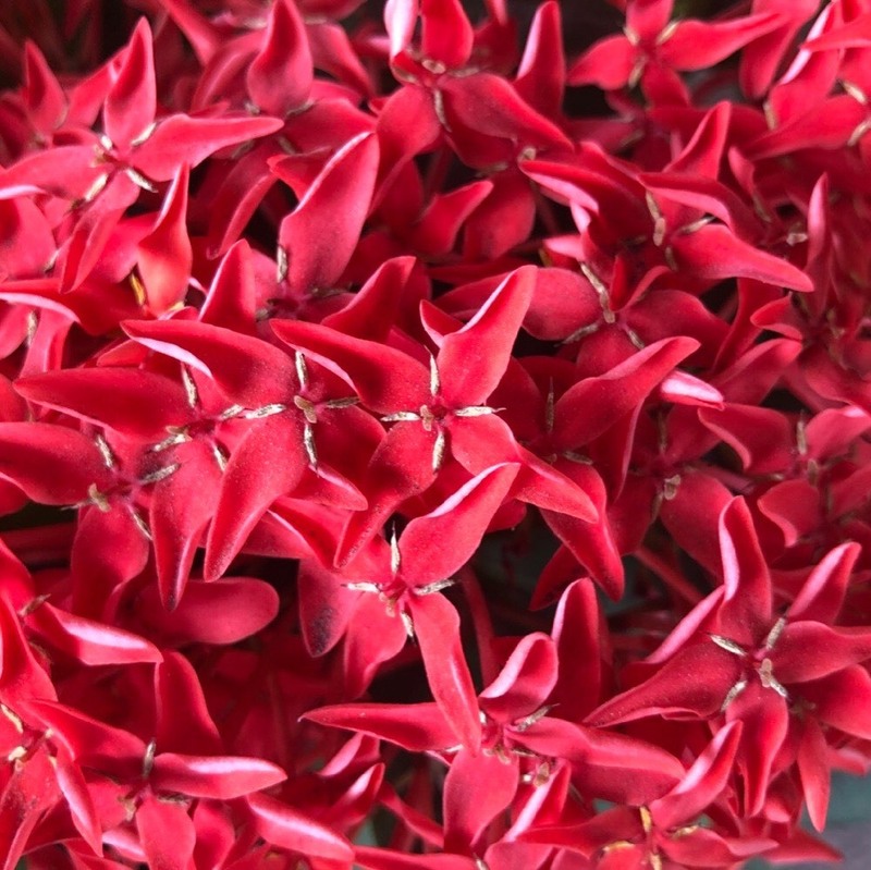 蝉の初鳴きを聞く火曜日♪ #ワンダー765 #NAMI765