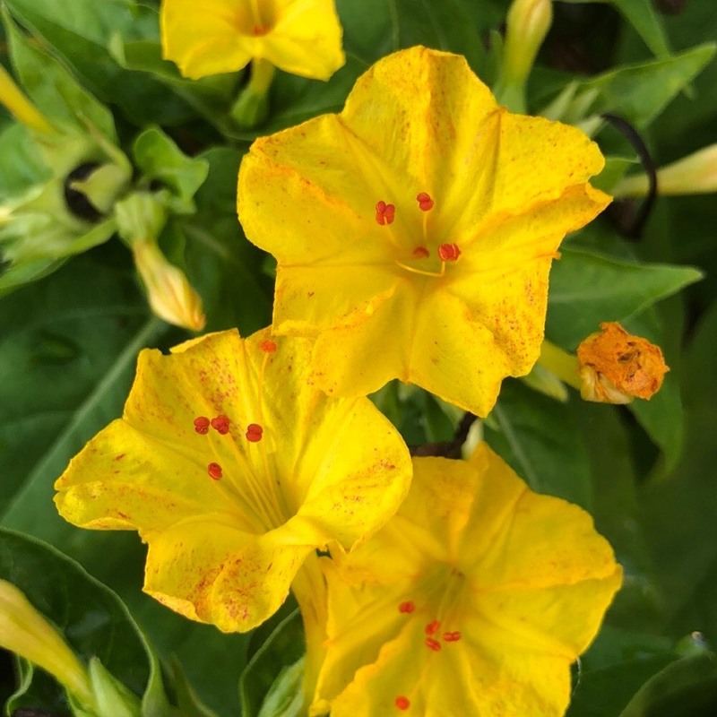 あっという間に木曜日♪ #ワンダー765 #NAMI765