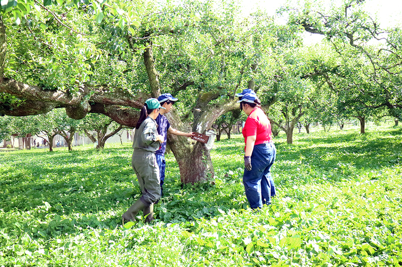 門上西林 物見遊山 【#251／2021.7.24】