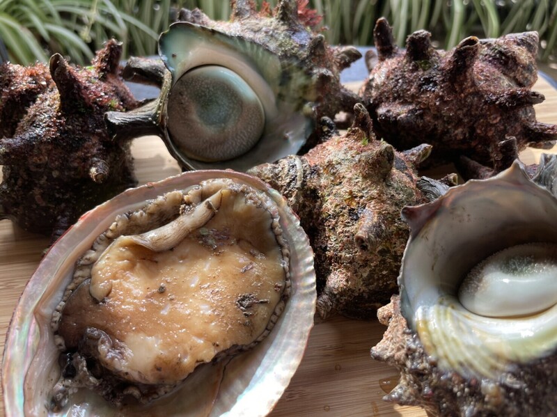 梅雨明け近し月曜日(^^) #ワンダー765 #NAMI765