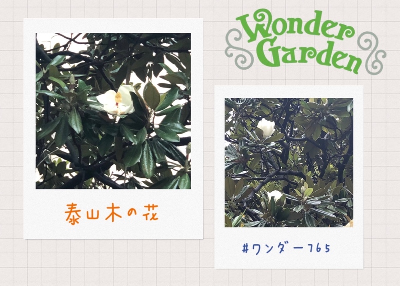 ホームラン競争に沸く火曜日 #ワンダー765 #NAMI765