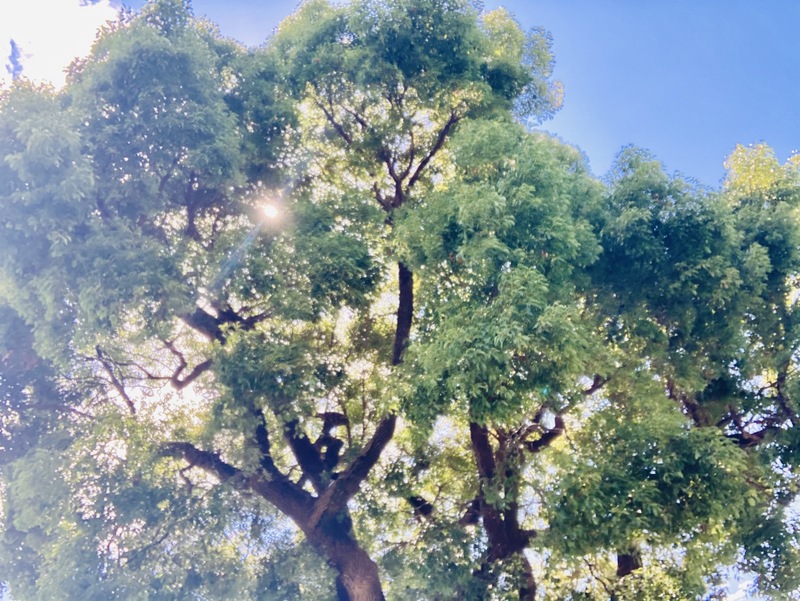 7/17(土) #FMCOCOLO765 #SMC765 お品書き！