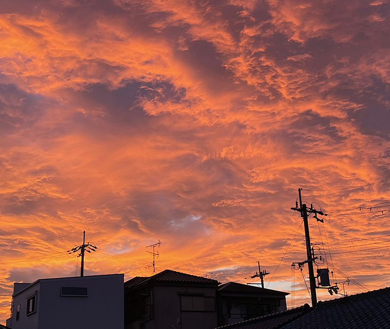 門上西林 物見遊山 【#253／2021.8.7】
