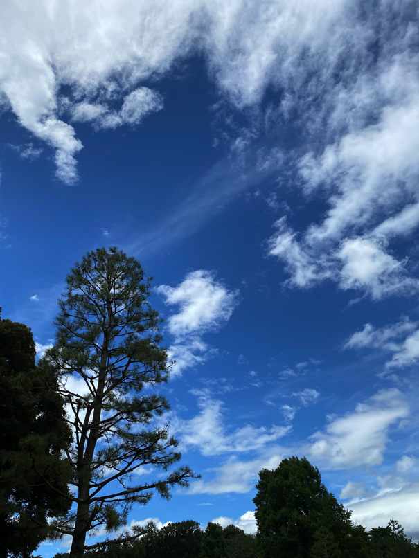 門上西林 物見遊山 【#254／2021.8.14】