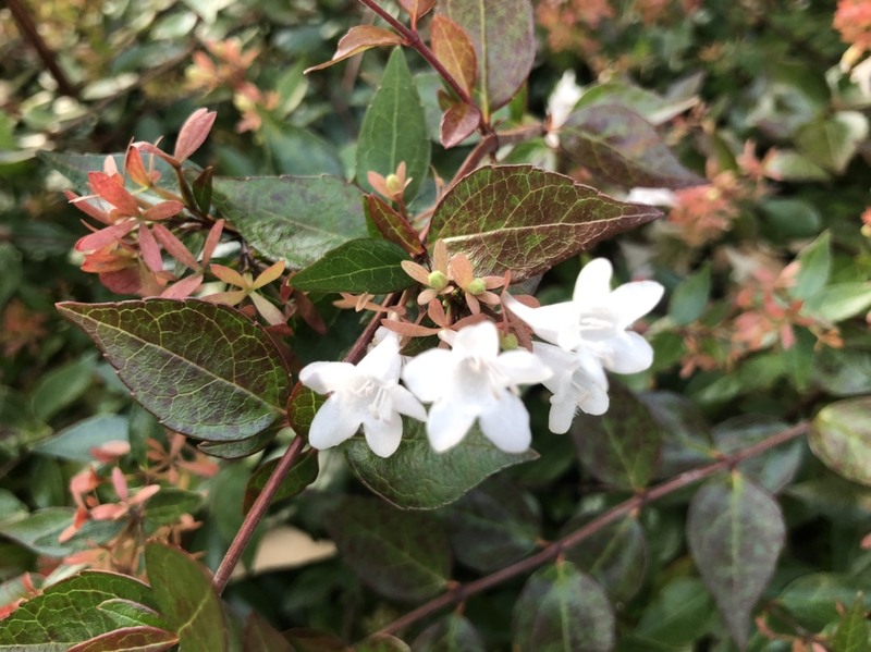 元気モリモリ木曜日♪ #ワンダー765 #NAMI765