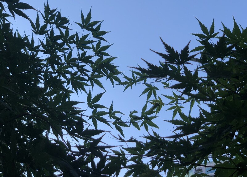 8月最初の月曜日♪ #ワンダー765 #NAMI765