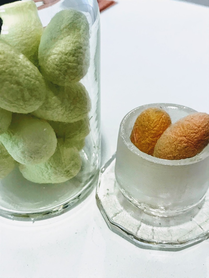 シルクの神秘　#まちゃお765