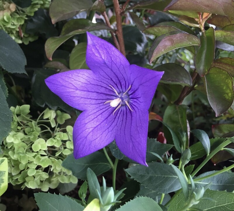 長崎に想いを寄せ過ごす今日。 #ワンダー765 #NAMI765