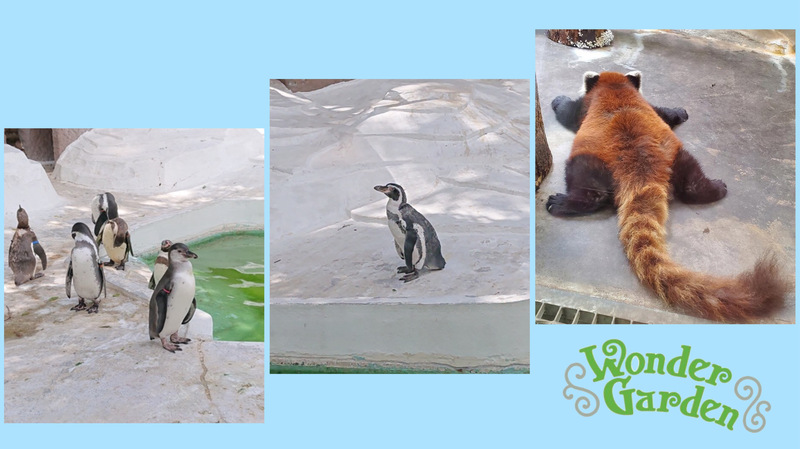 Wonder Garden 〜THE WAY〜 #ワンダー765