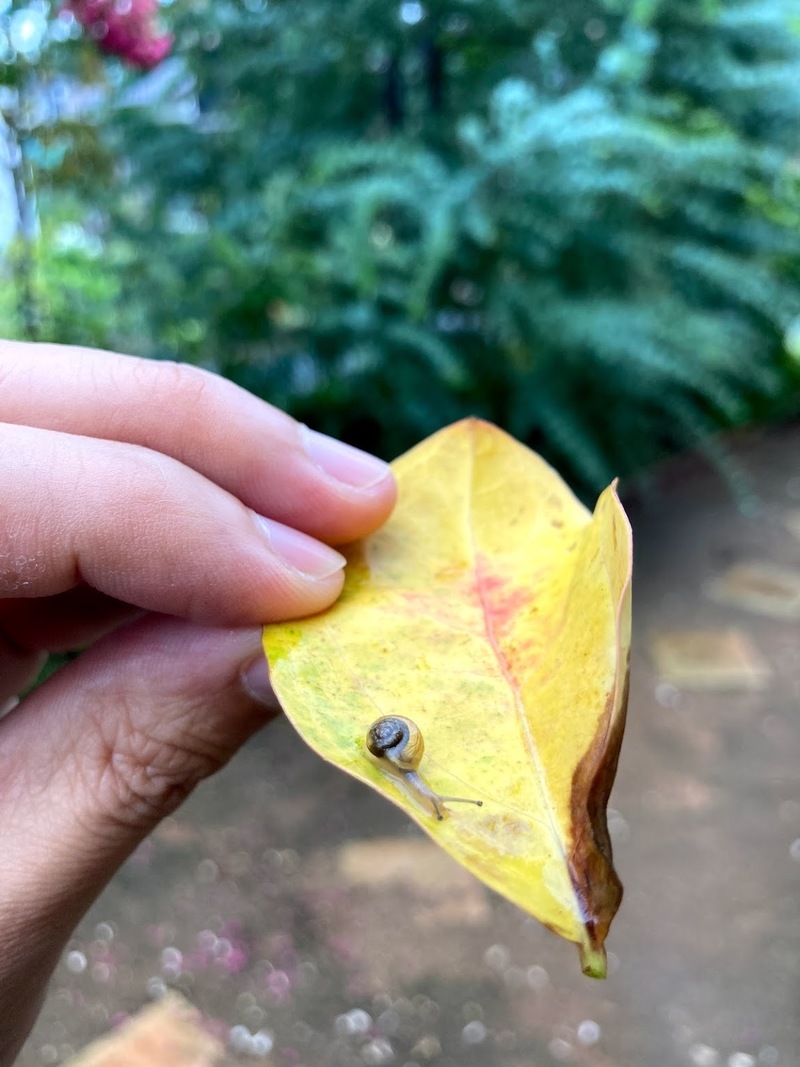 そこ、危ないからさ。　#まちゃお765