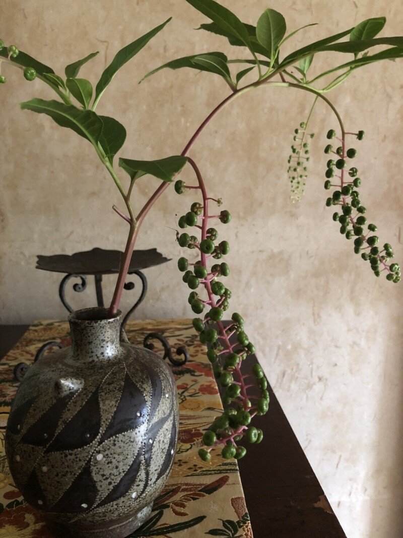 お盆明けの月曜日♪ #ワンダー765 #NAMI765