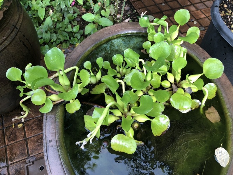 8月17日 火曜日！！ #ワンダー765 #NAMI765