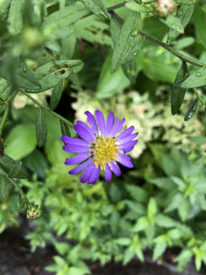 週の真ん中　水曜日♪ #ワンダー765 #NAMI765