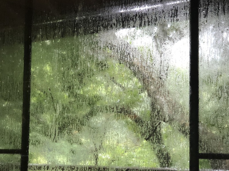 もうひと頑張り！木曜日♪ #ワンダー765 #NAMI765