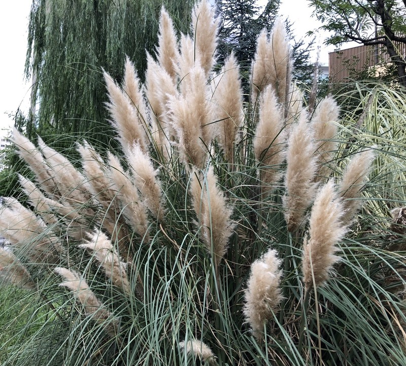 スイスイ水曜日♪ #ワンダー765 #NAMI765