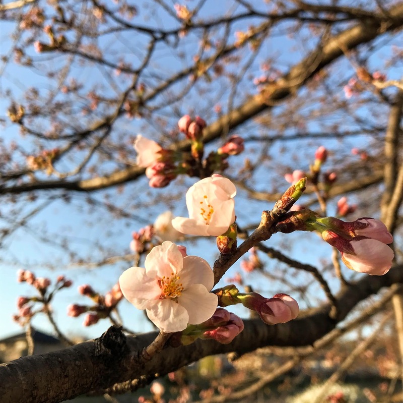 あわてんぼうとのんびり屋さん　#まちゃお765