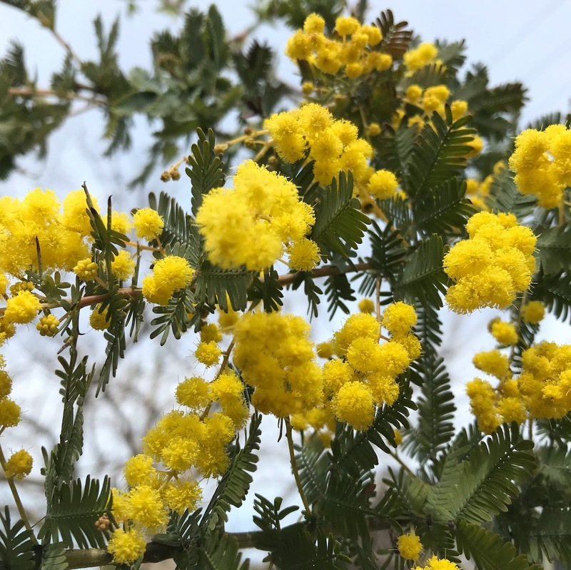 あいつがやってくれました　#まちゃお765