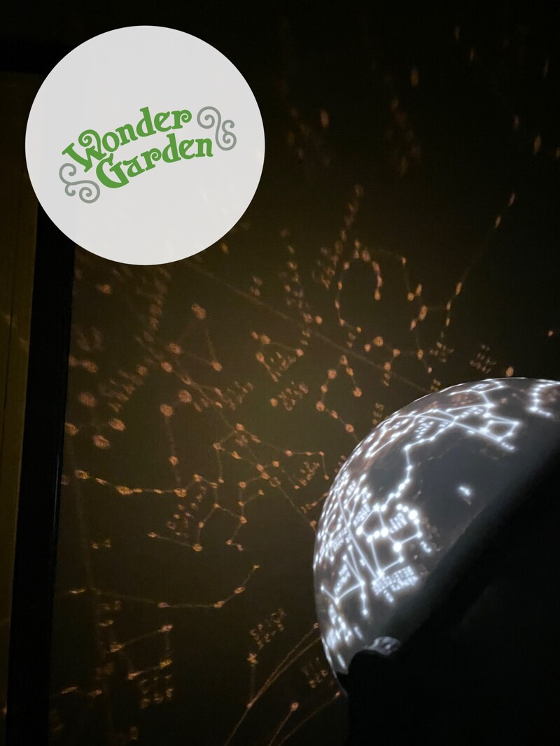 ★プレゼント★『ホーム・プラネタリウム』#ワンダー765