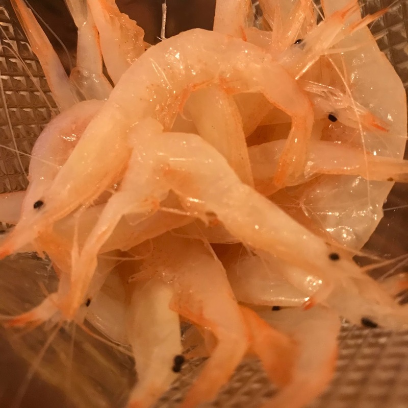 冷凍庫が海か湖か！ #まちゃお765