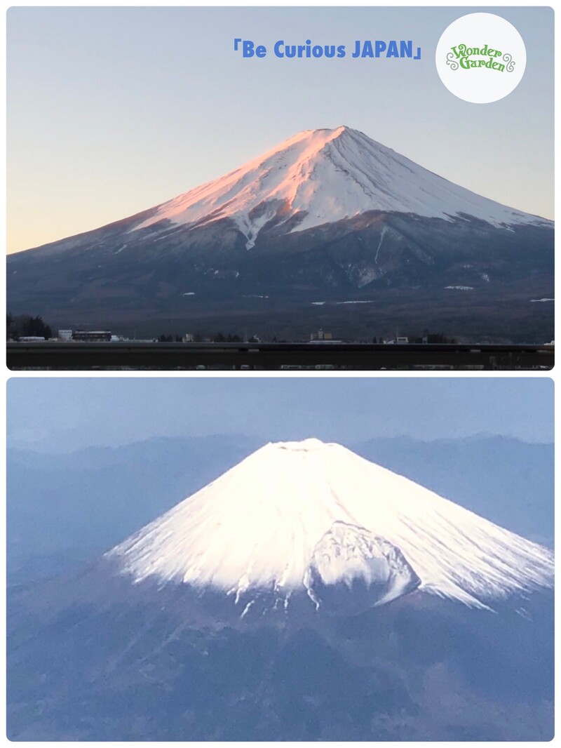 ◎Be Curious JAPAN・・今日は「富士山」◎ #ビーキュリアス