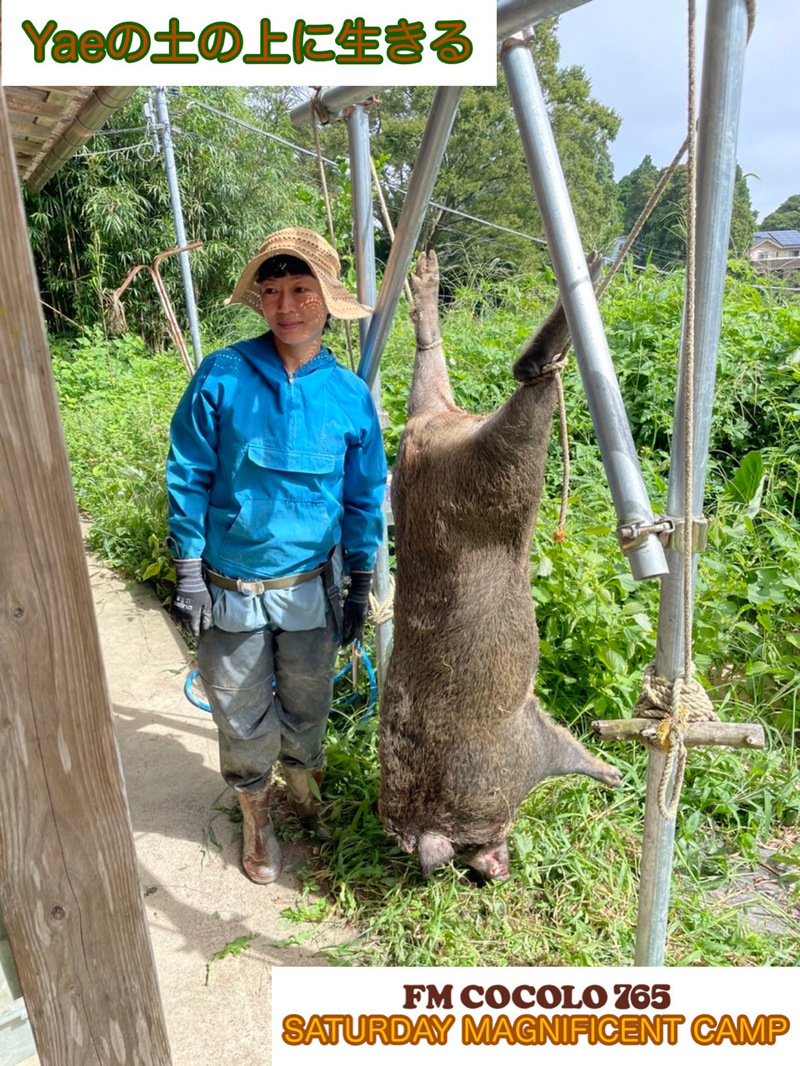 「Yaeの土の上に生きる」2022/10/29(土)Yae #SMC765