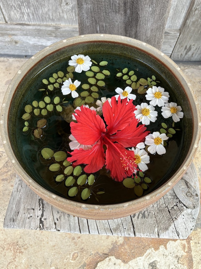 「避粉の旅」のつもりが…!?