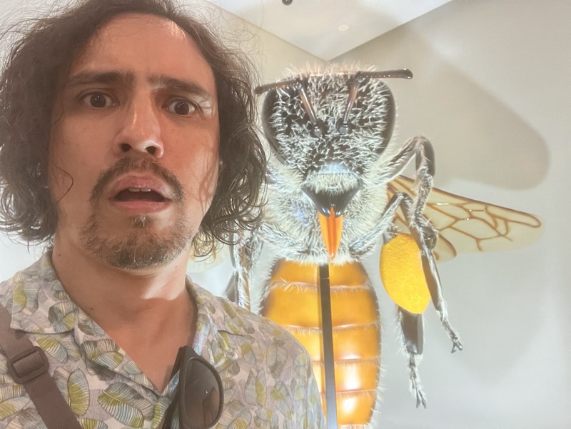 巨大なハチとのツーショット