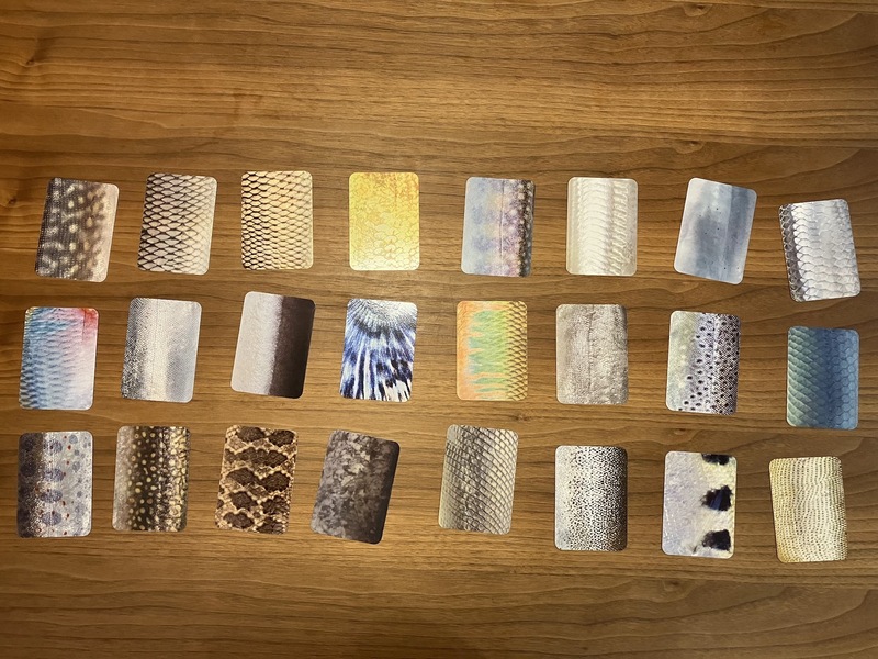 とんだカルタがあるもんだ