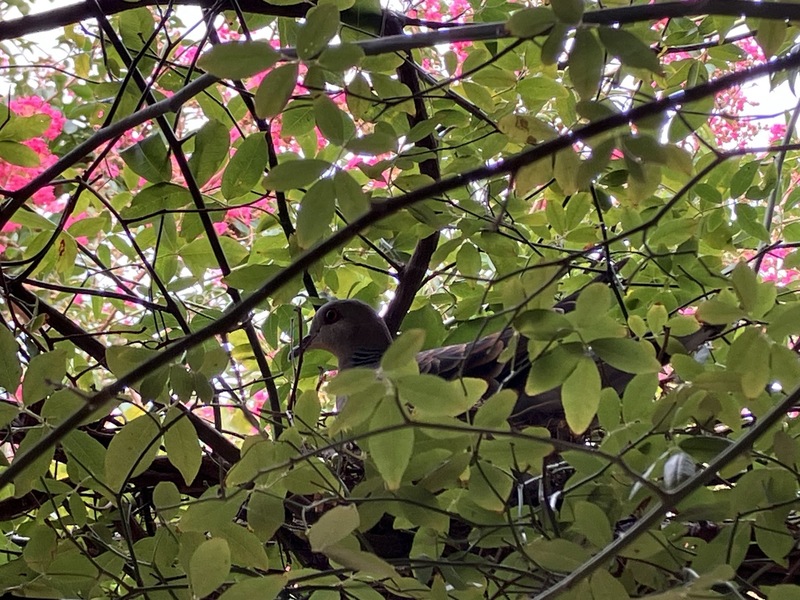 きみはそこで何を？