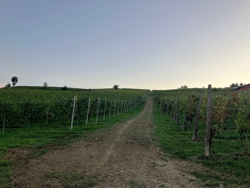 そのツーリングツアー、ええやん。