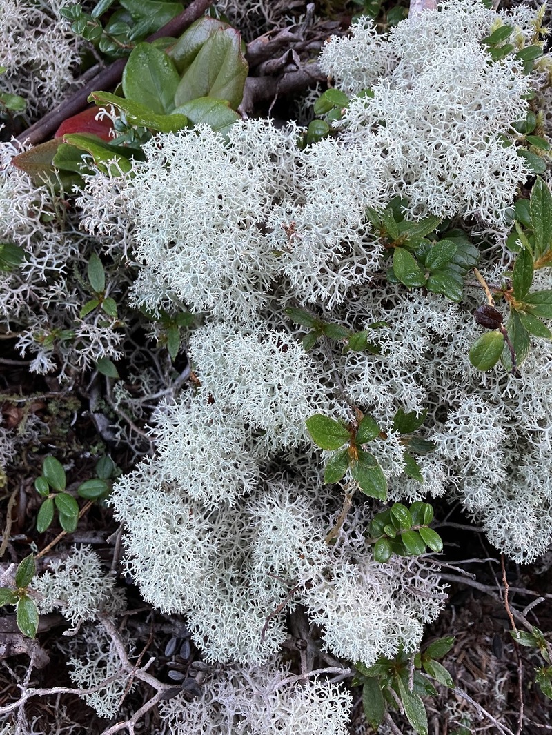 唱えて覚えよ！